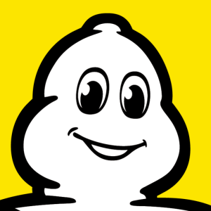 Logo MICHELIN Connected Fleet